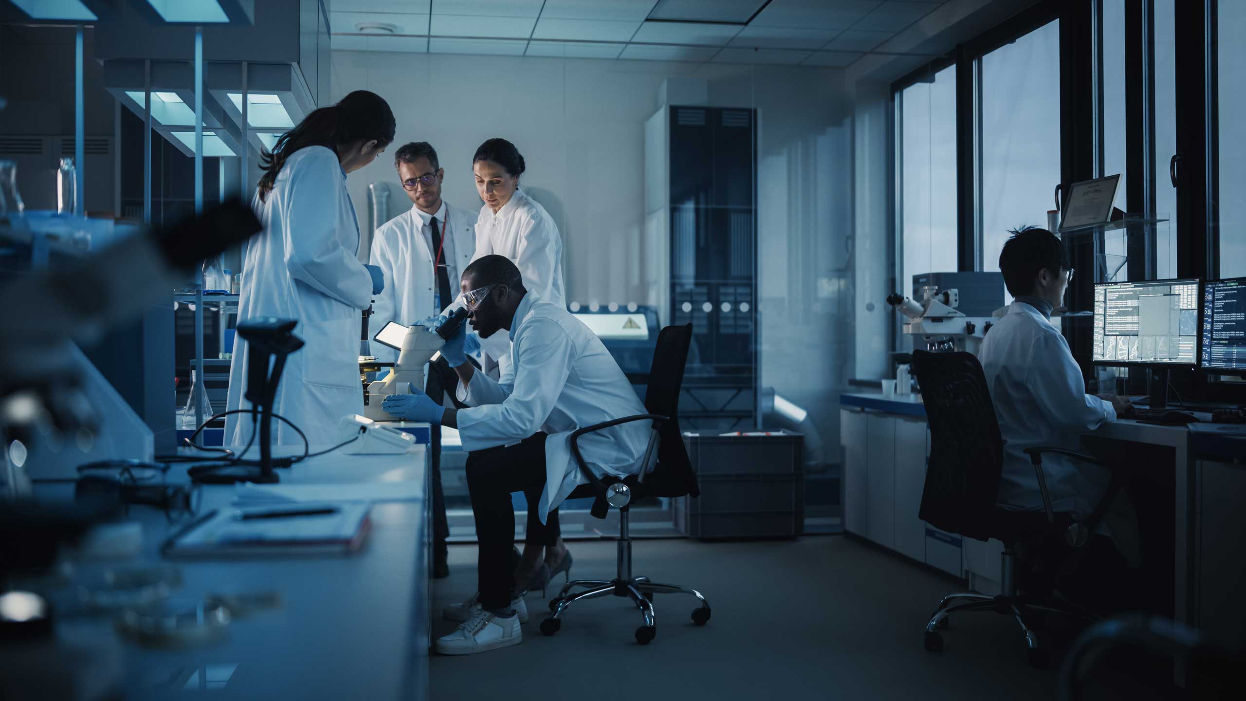 Laboratory team working together at benches and workstations